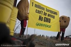 Greenpeace acuza Comisia Europeana de farsa in problema OMG