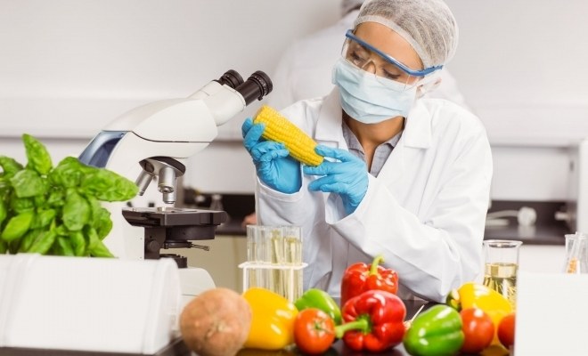 Imagine asociată articolului „Siguranța alimentară europeană de la vânzare cu amănuntul la furculiță”
