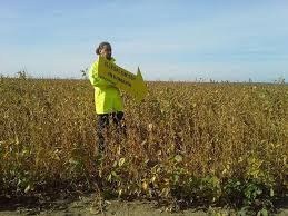 Greenpeace 2